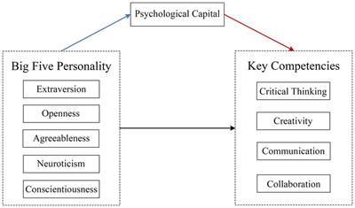 The influence of Big Five personality traits on college students’ key competencies: the mediating effect of psychological capital